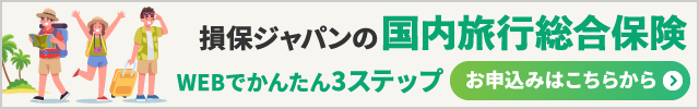 国内総合旅行保険