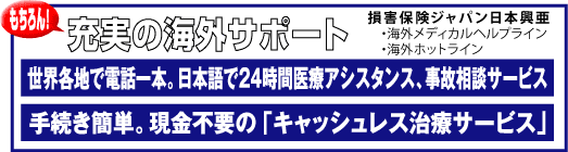 [̊COT|[g